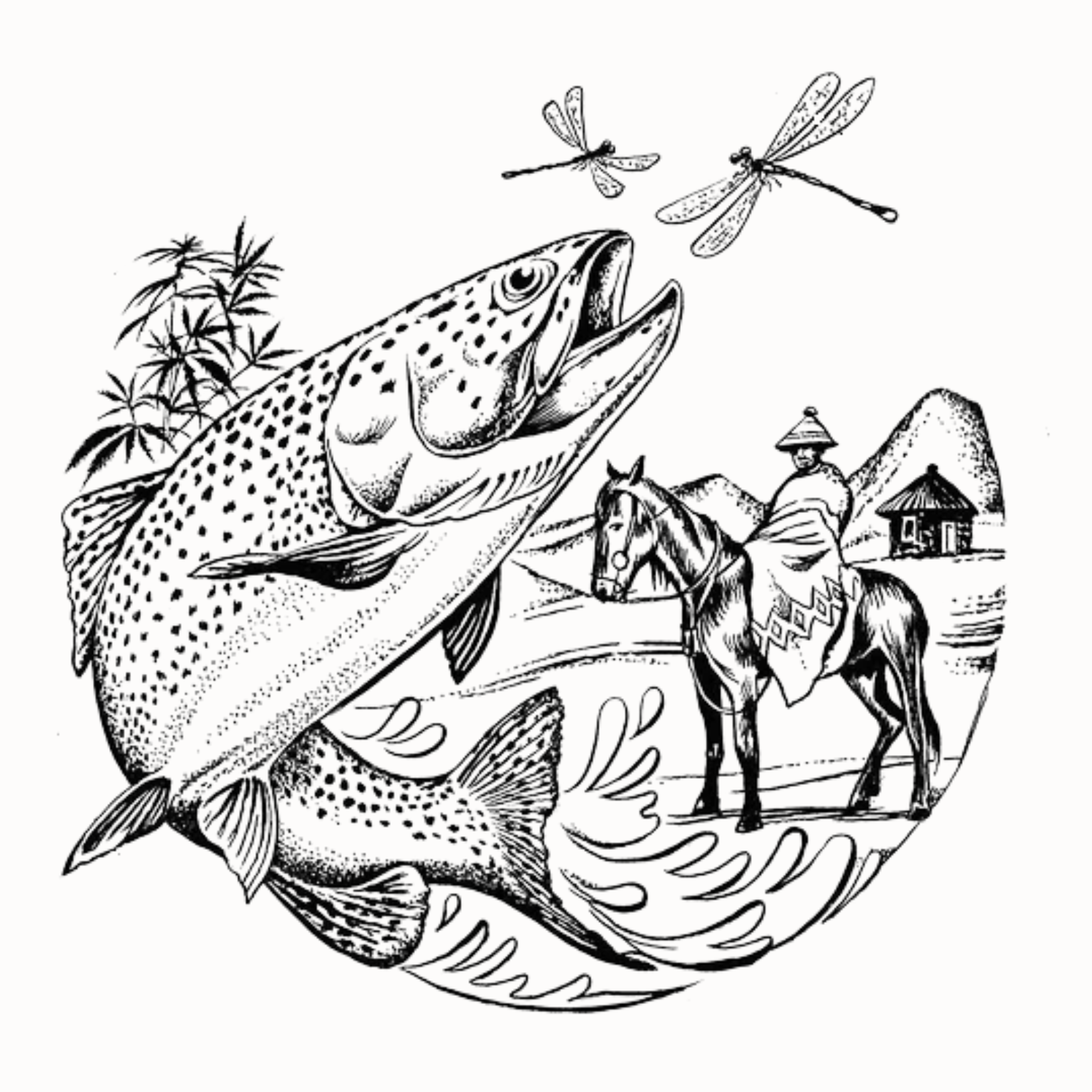 Fly Revolution Greeting Cards