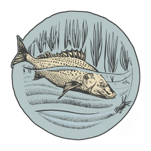 Fly Revolution Greeting Cards